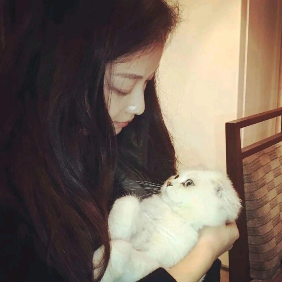 爱吃蛋挞的曲奇🍪