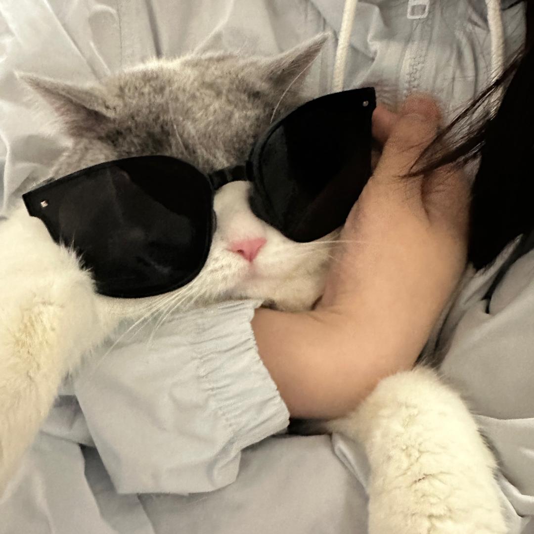 可恶