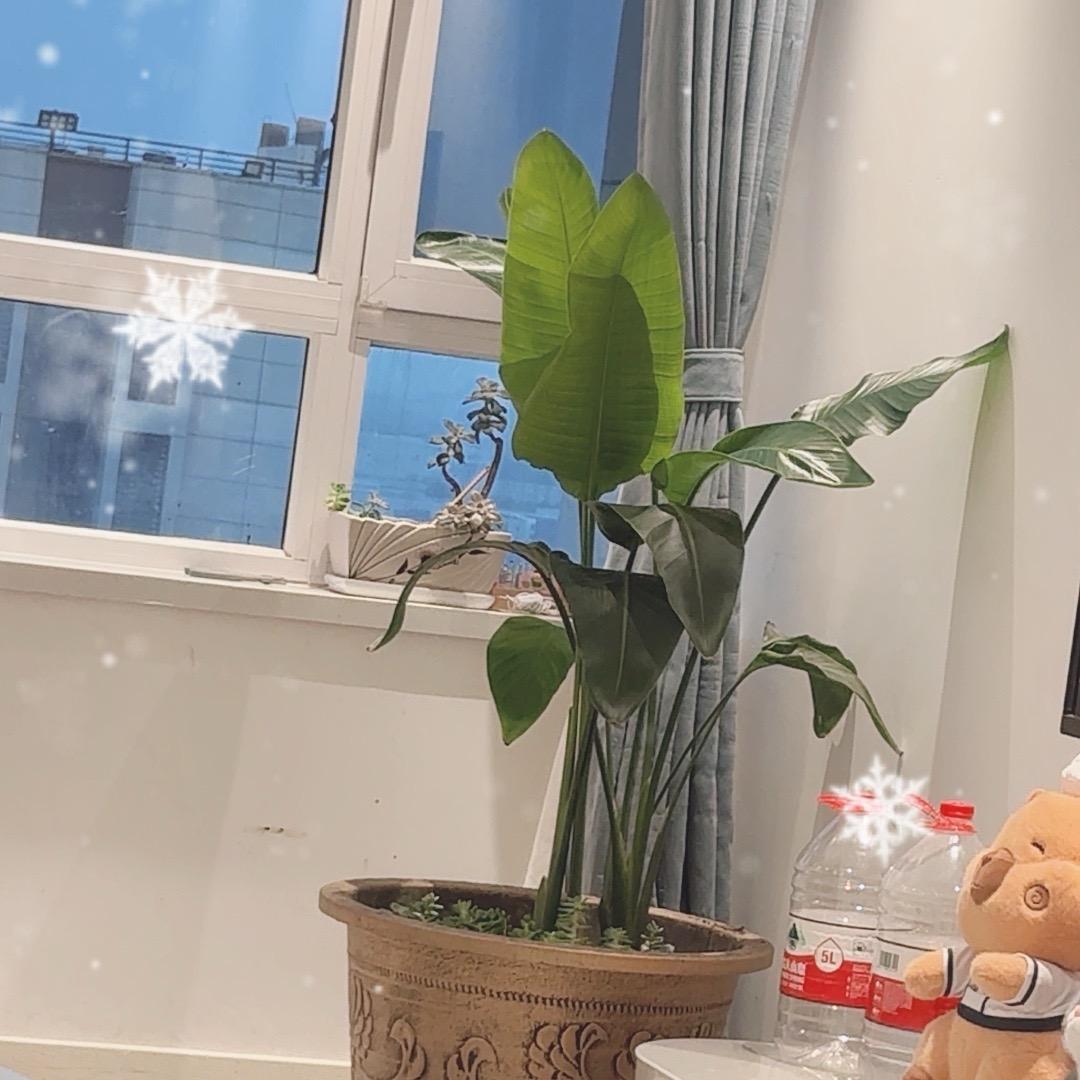 爱热闹的小瑜