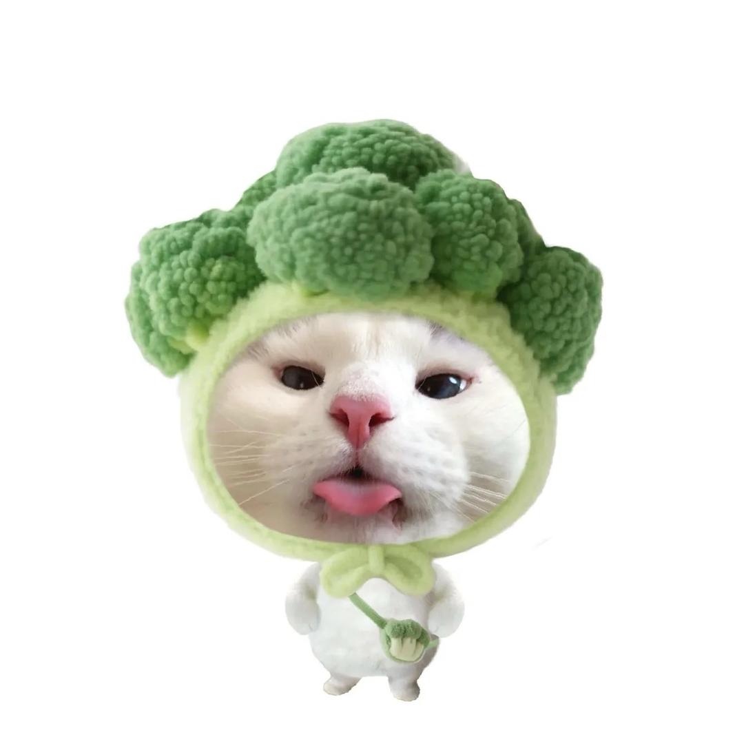 ppa