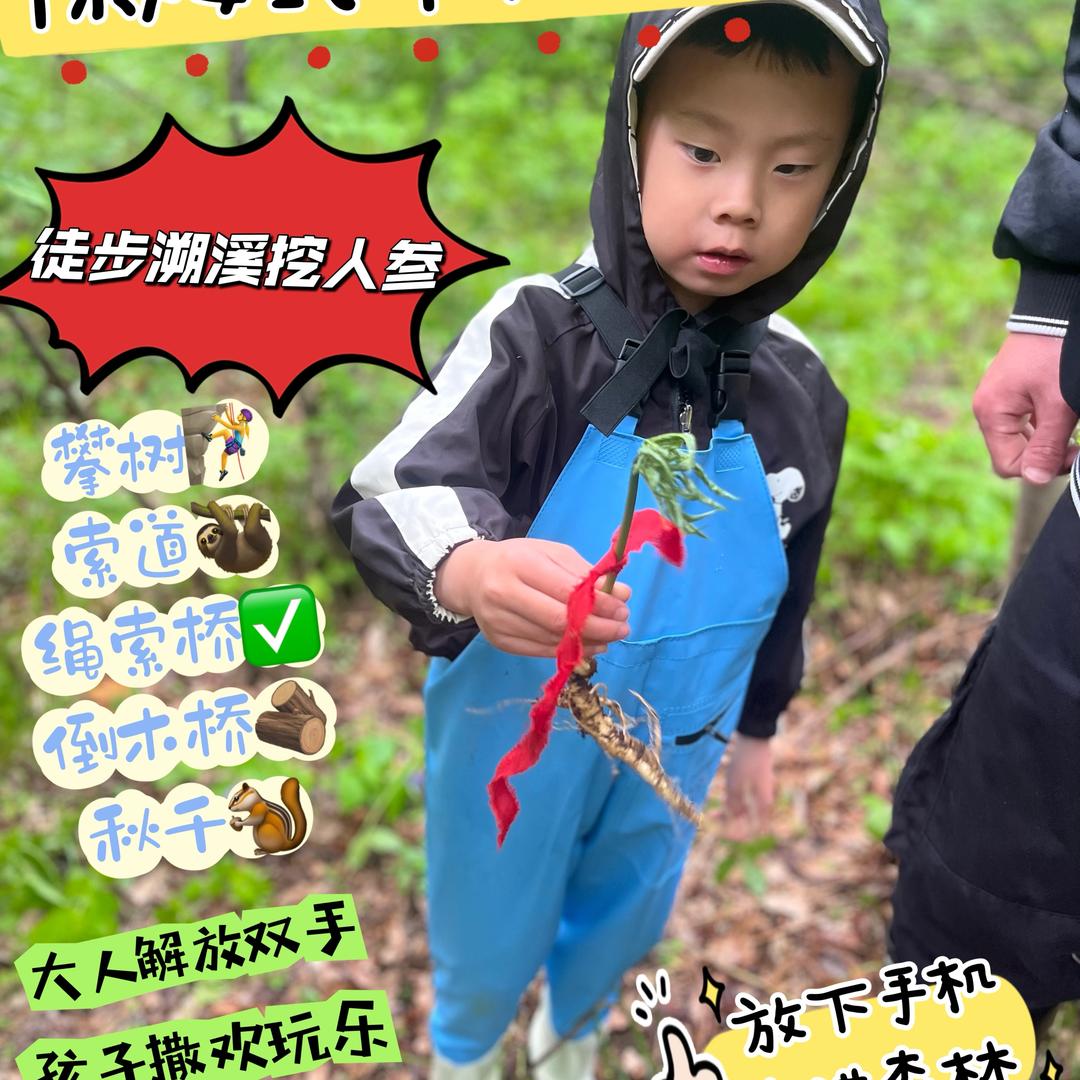 长白山棒槌鸟亲子森林研学