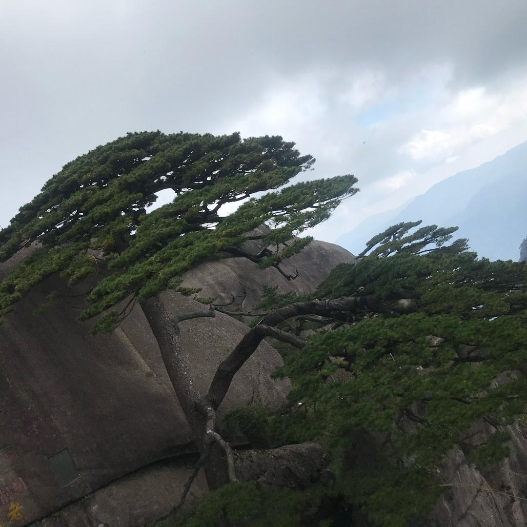 ℳঞ杨眉杜气💕 ❧⁵²⁰