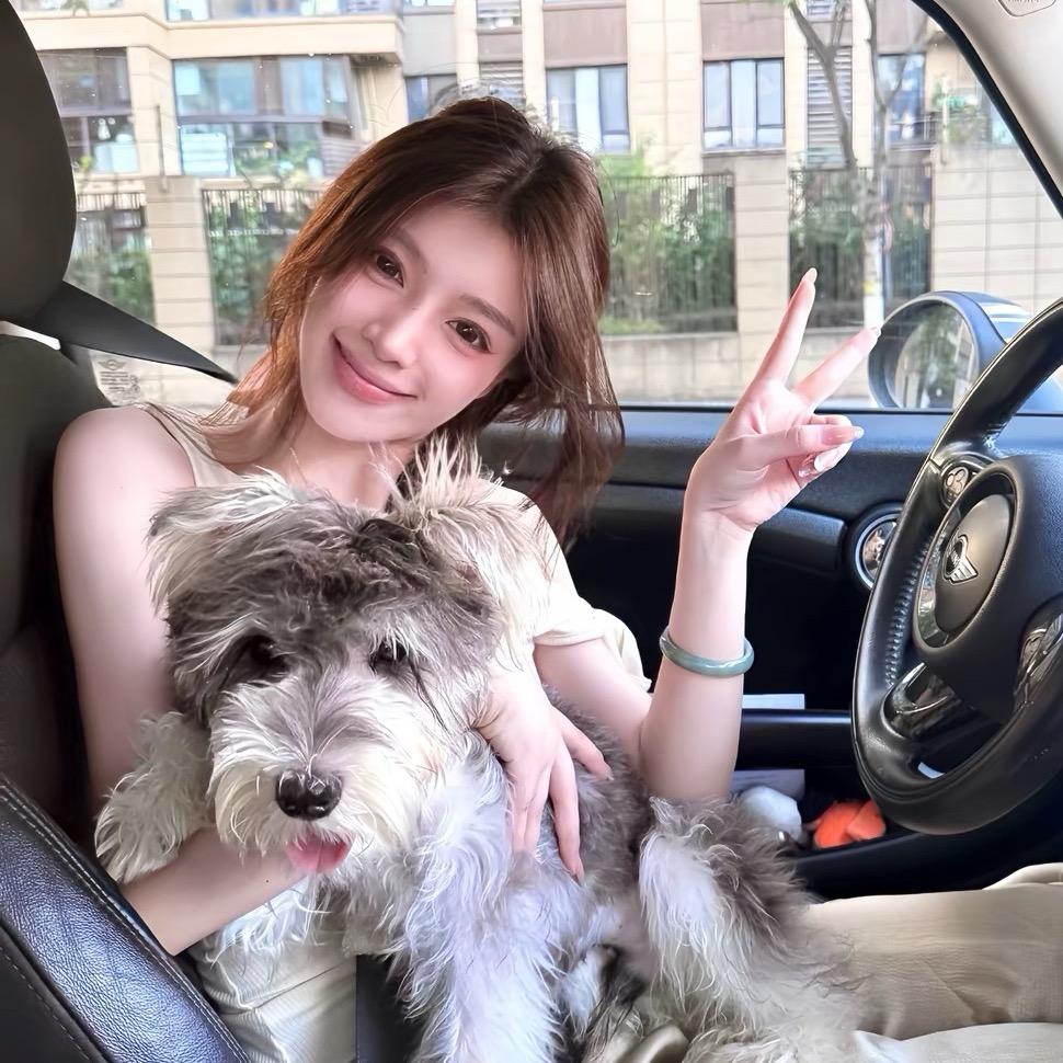 小陆不乱撞🧸
