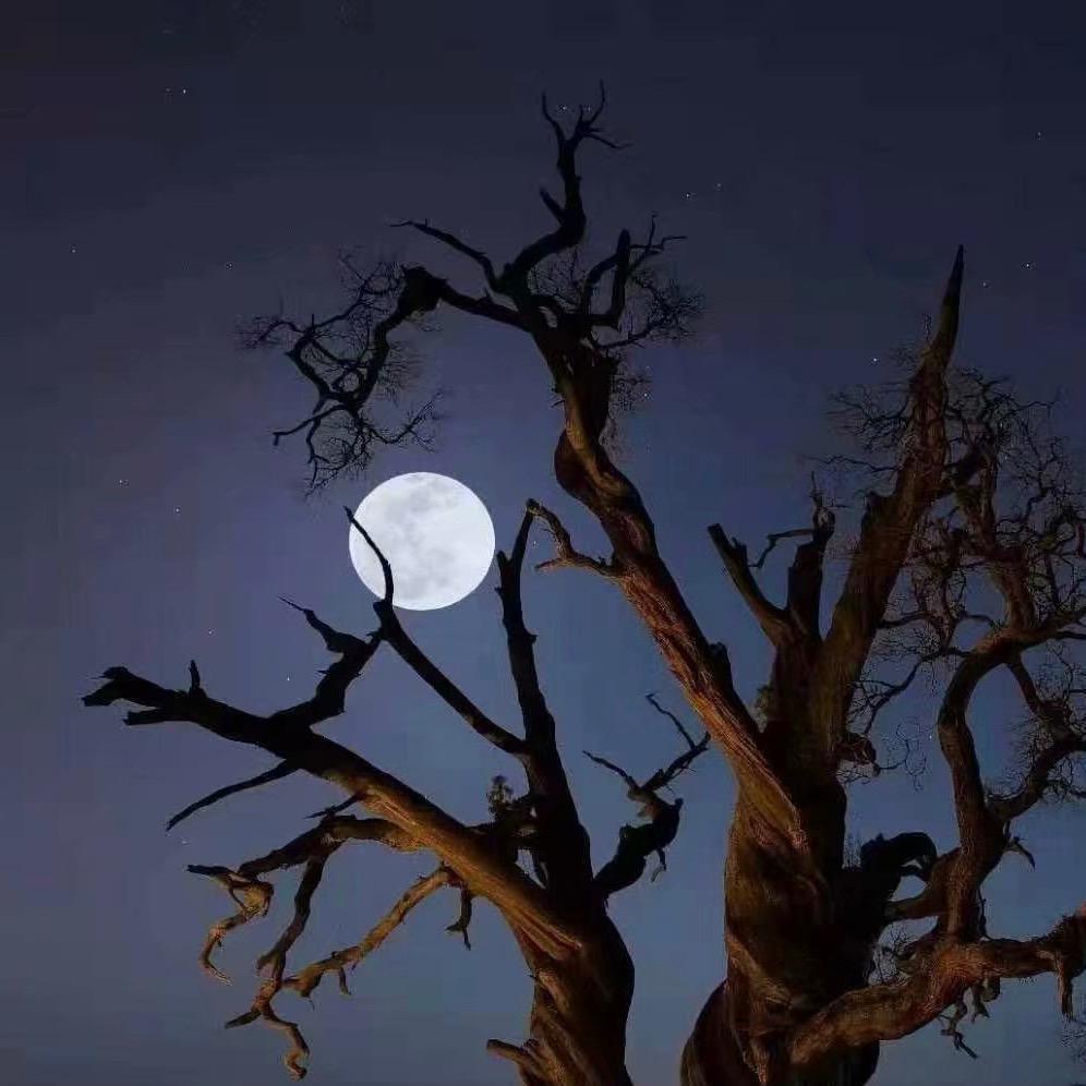 🌙月亮