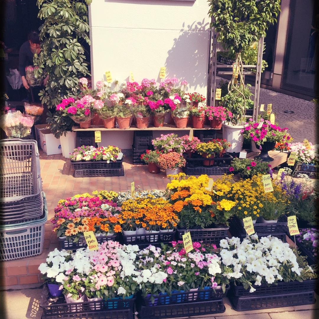 爱生气的胖小孩