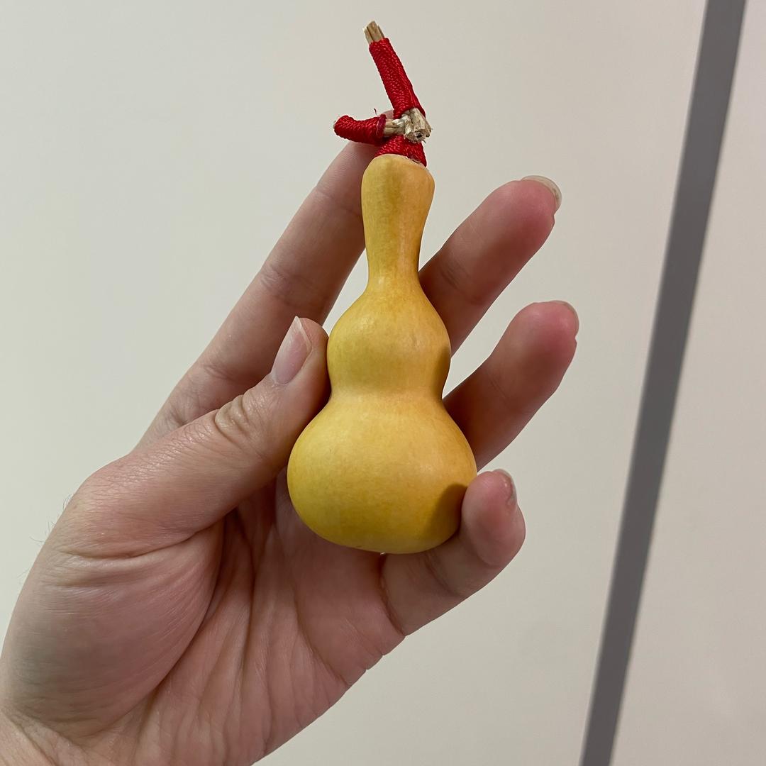 冰糖小葫芦a
