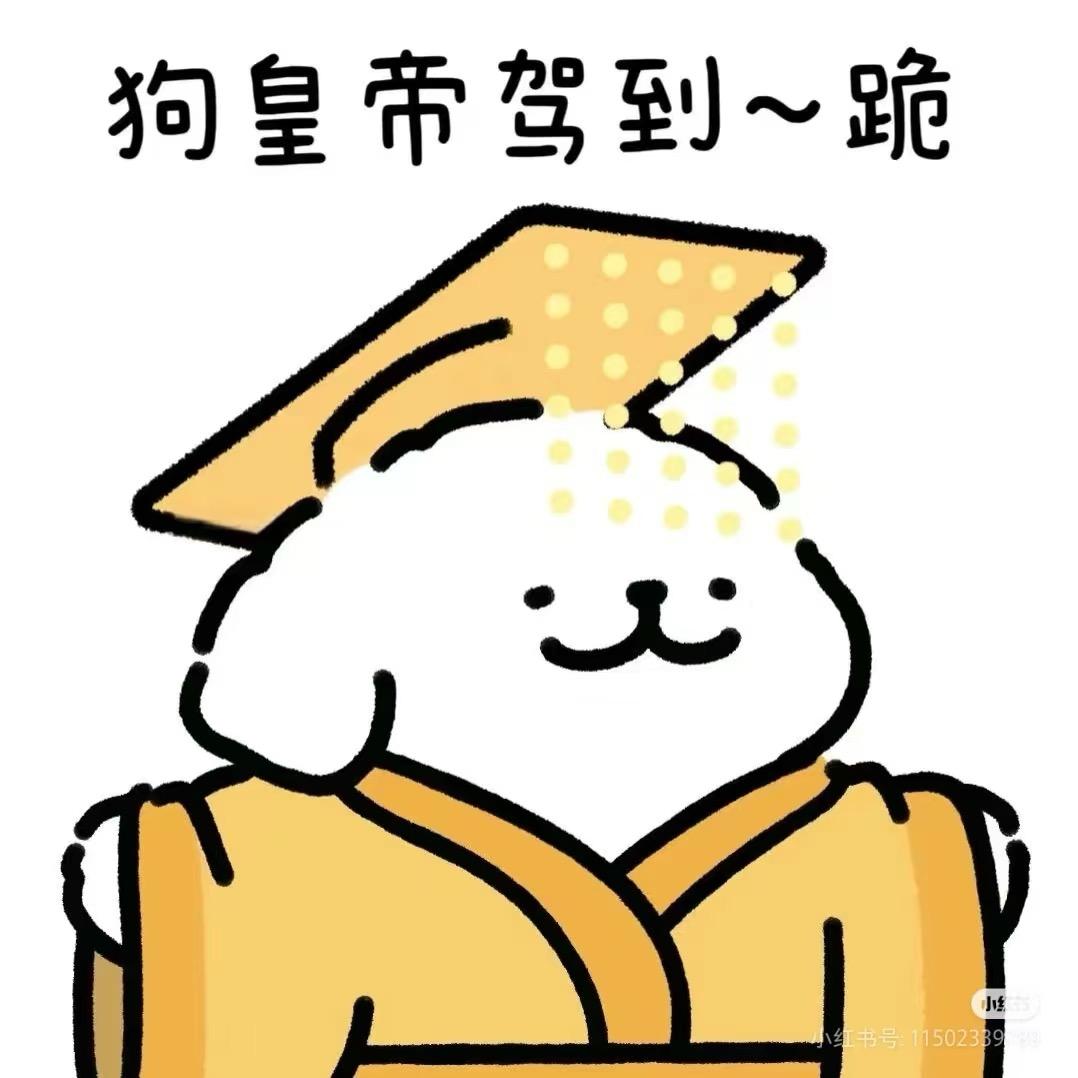 小汤圆🍡