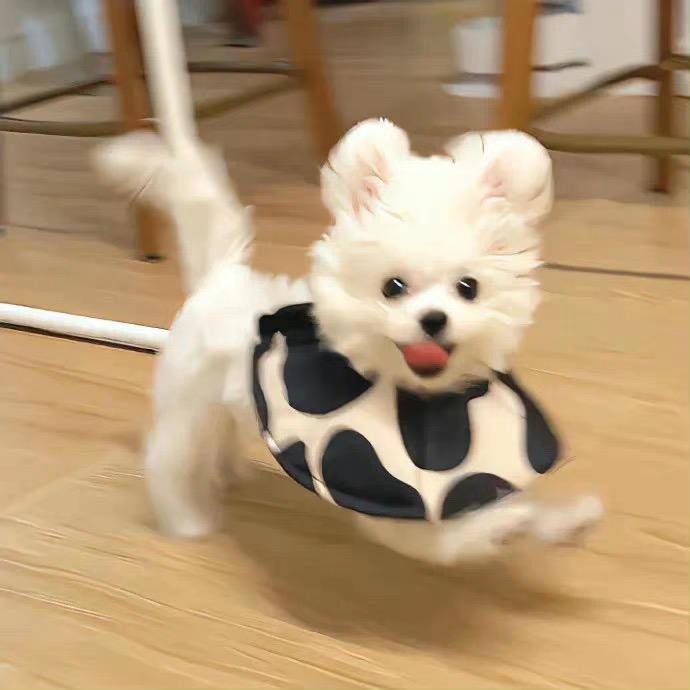 潦草