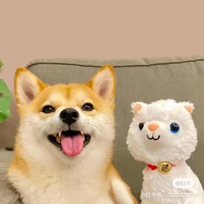 ℳঞ大费周张💕 ❧⁵²⁰