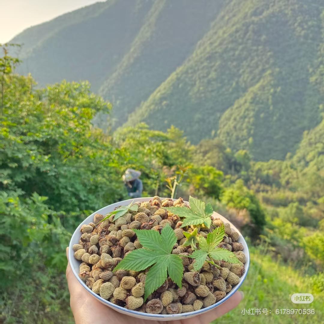 千岛湖特色农产品