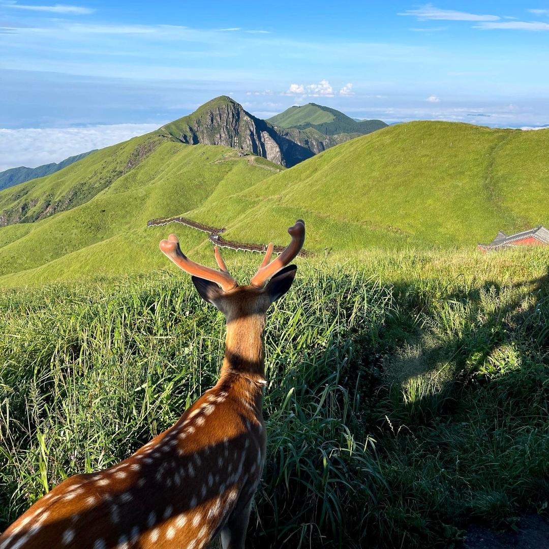 河源海陆空食材