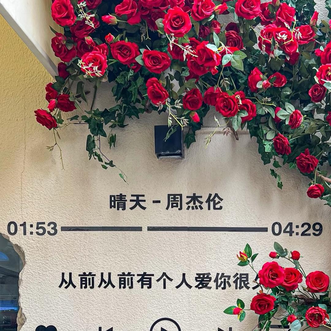 小张爱拍照📷