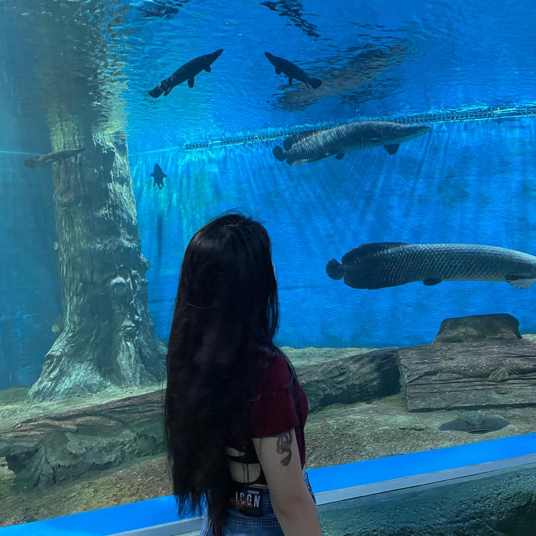 银鱼🐟