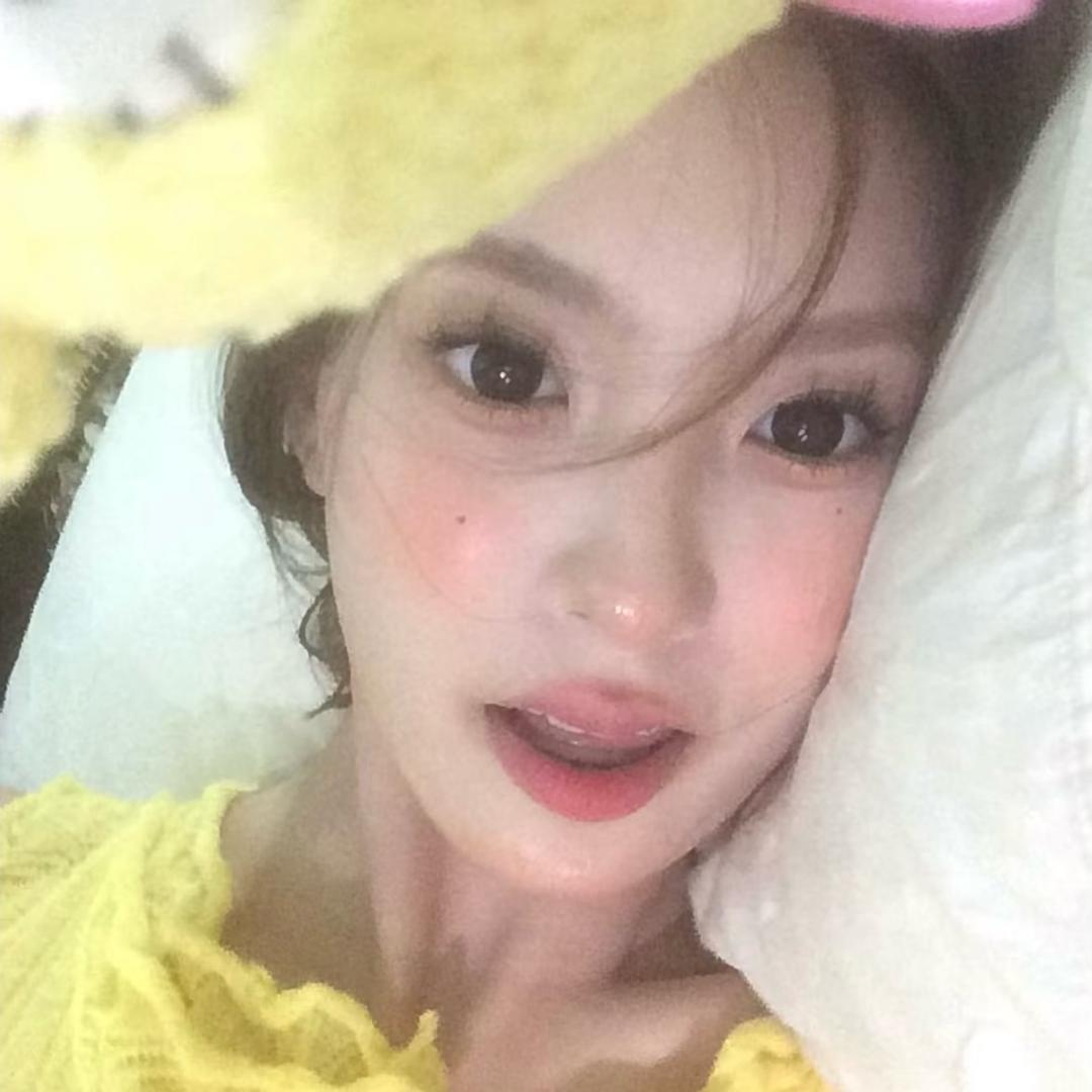 一只猫-