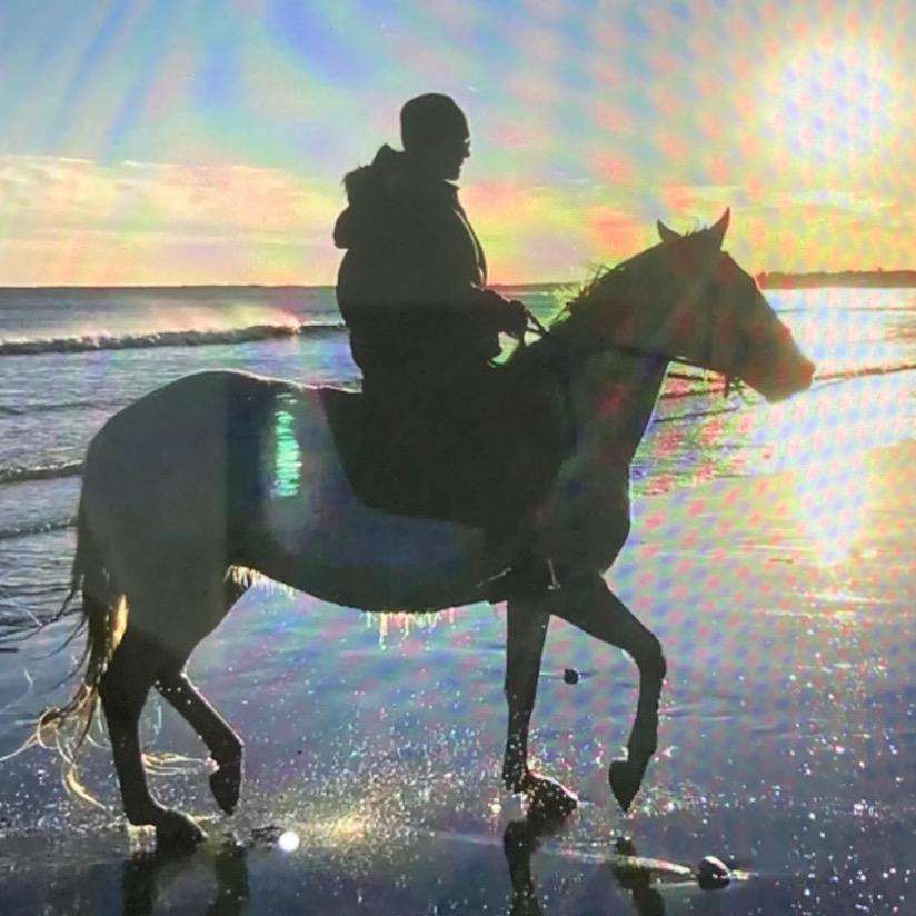 小黄鱼（专业版）