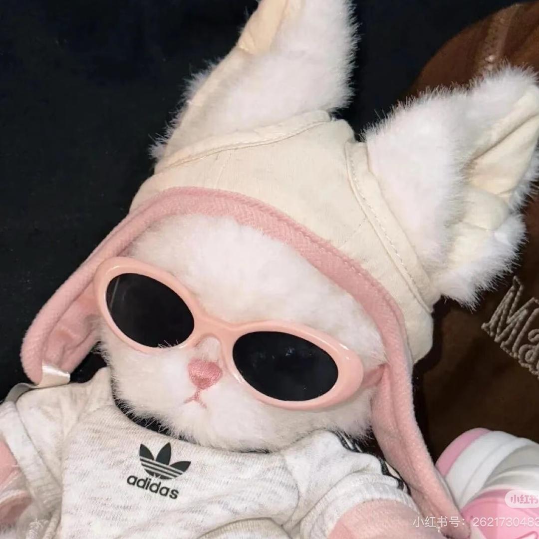 55💤（招财辟邪版）