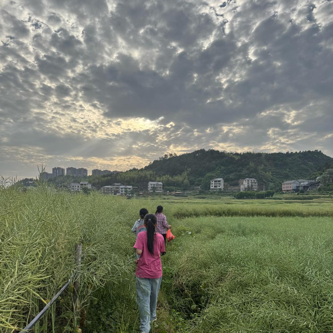 麗麗-Li li🐰