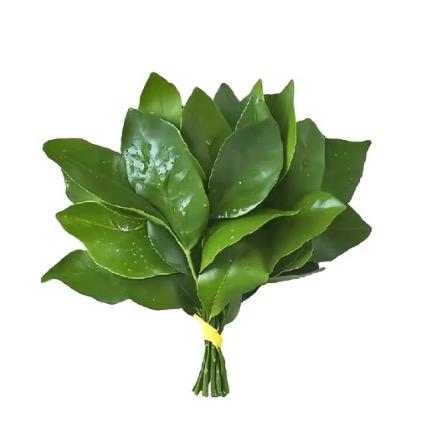 rui蕊子