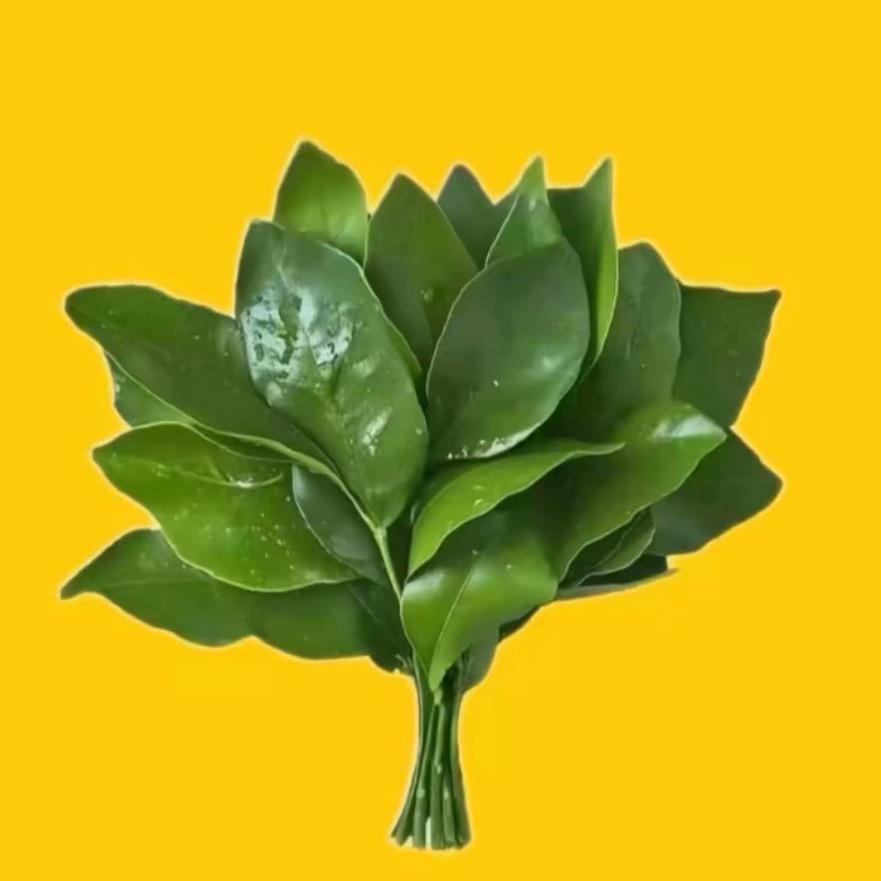 六点一起吃早饭