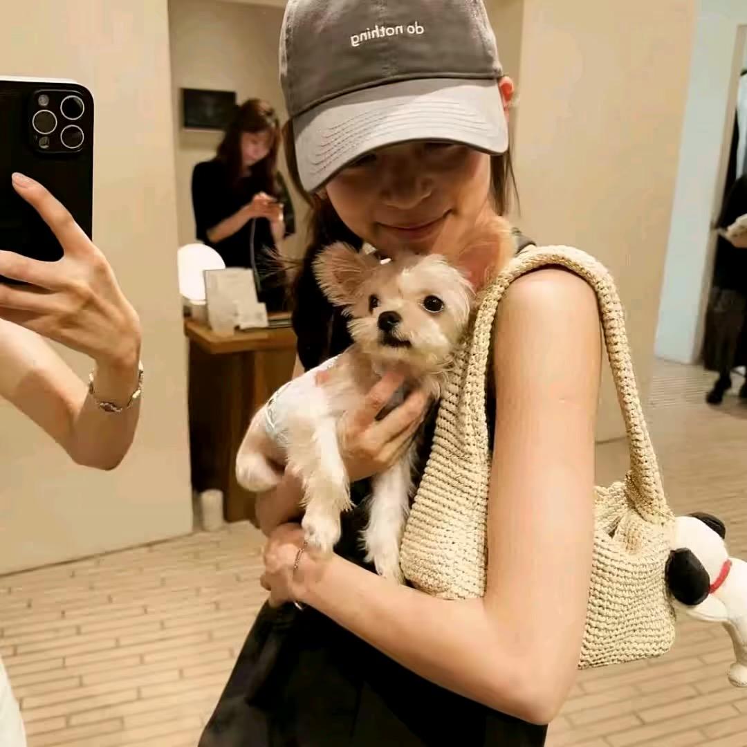 养只爱我的猫.