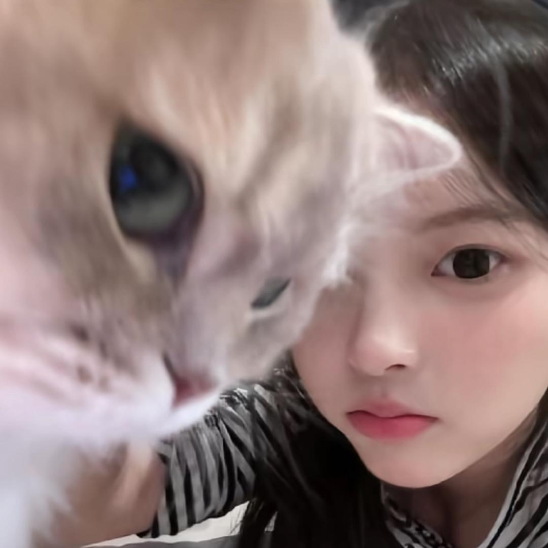 ccㅤ