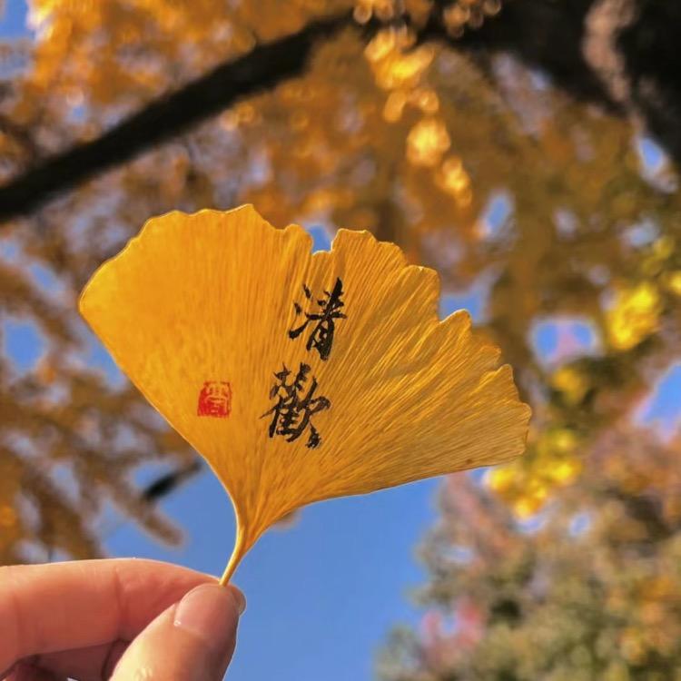 💗小莉莉