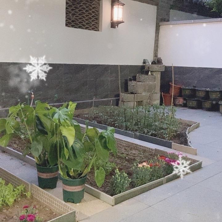 布莱克托尼老师