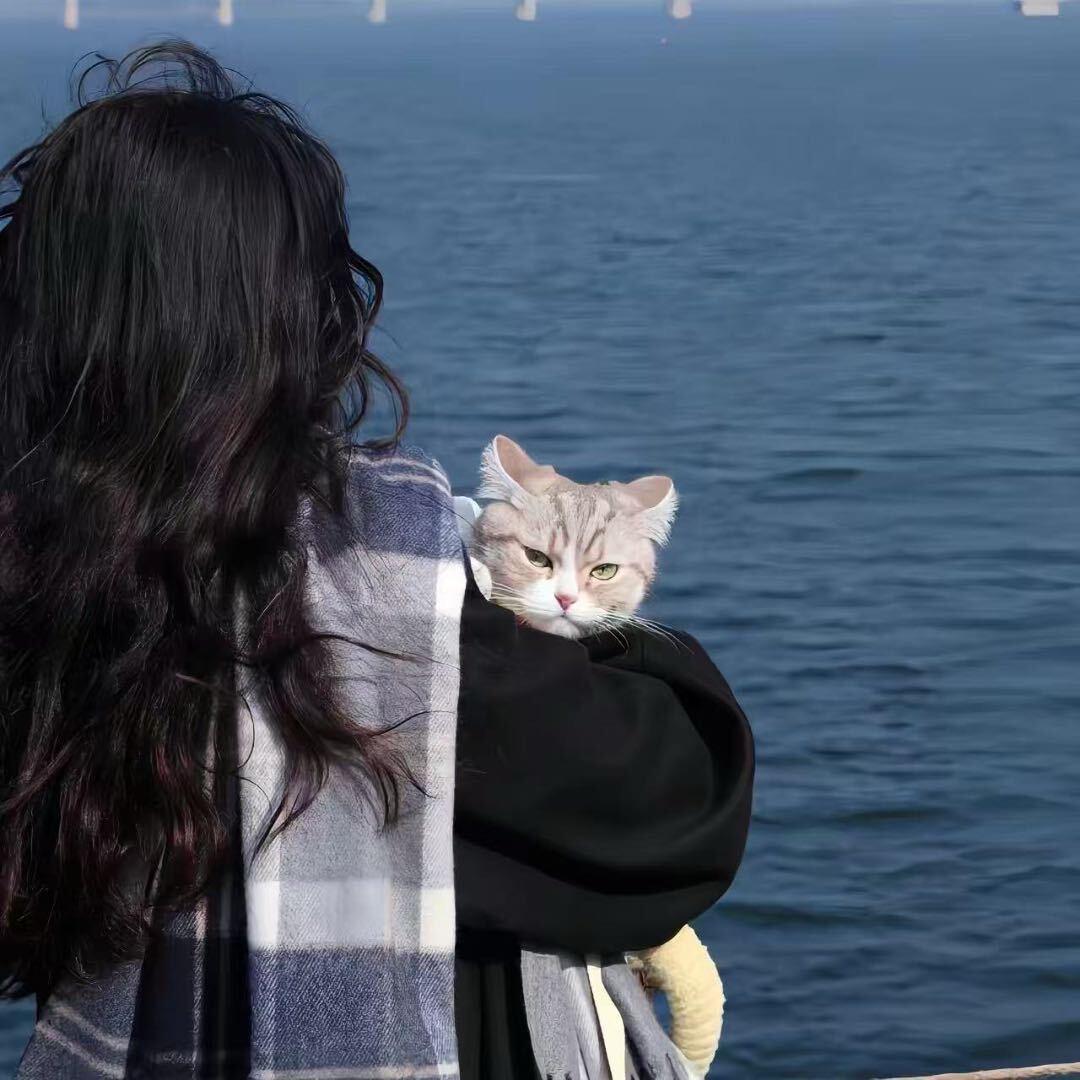 小茹丫