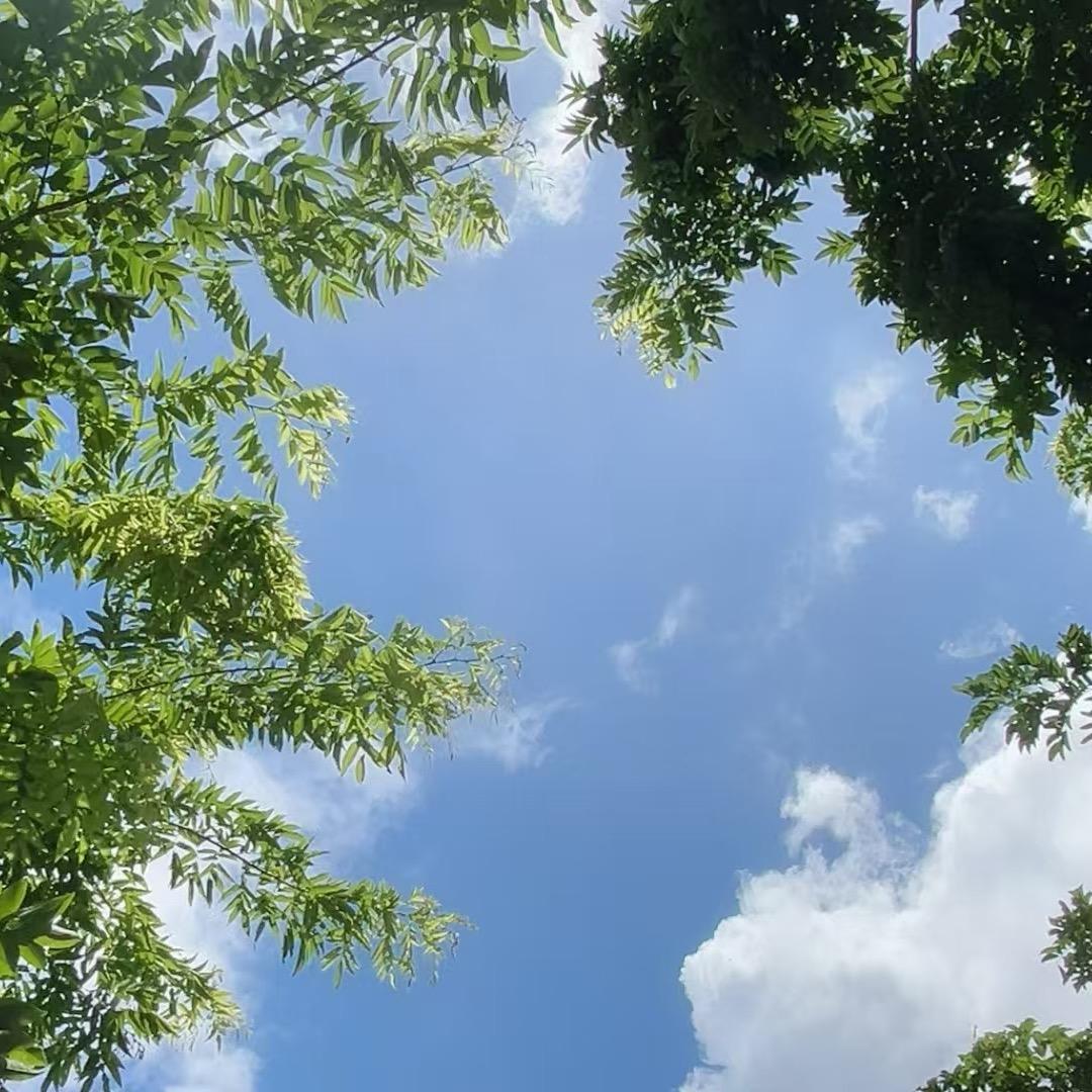 育儿寓言故事