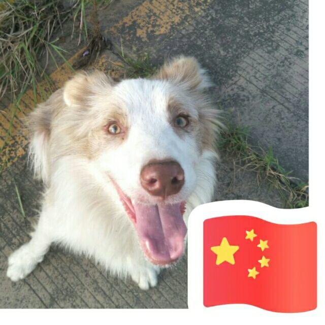 路子