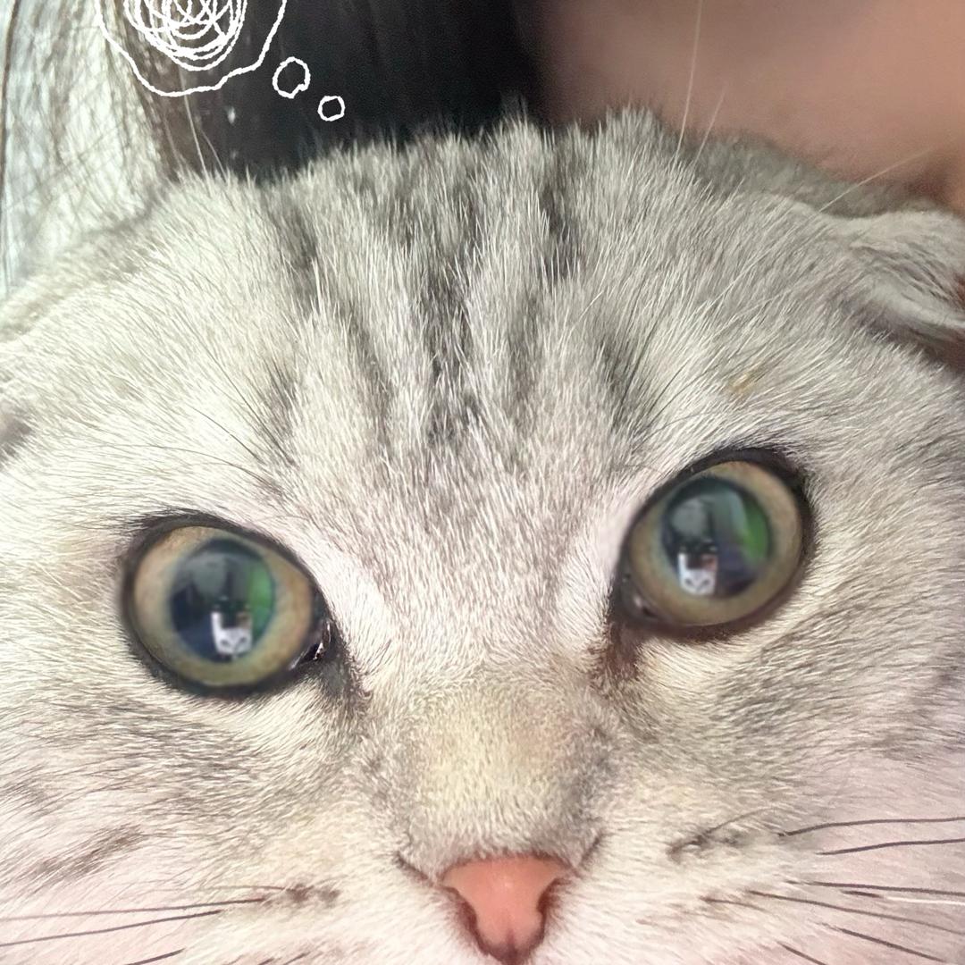 纯情鱿鱼霸总兜不住屎被折磨至死