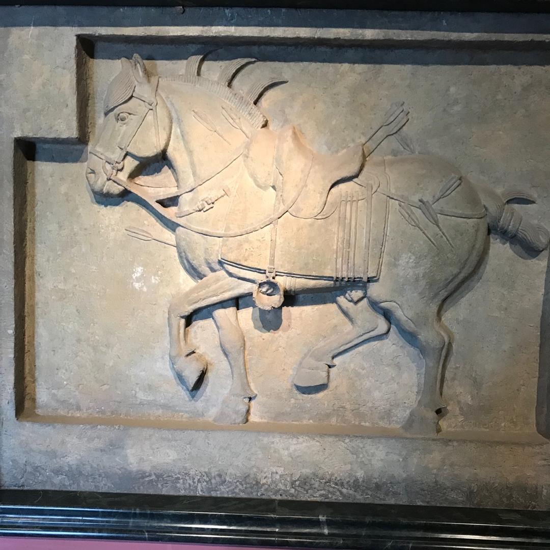 安宁的人间贵族