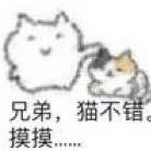时晏