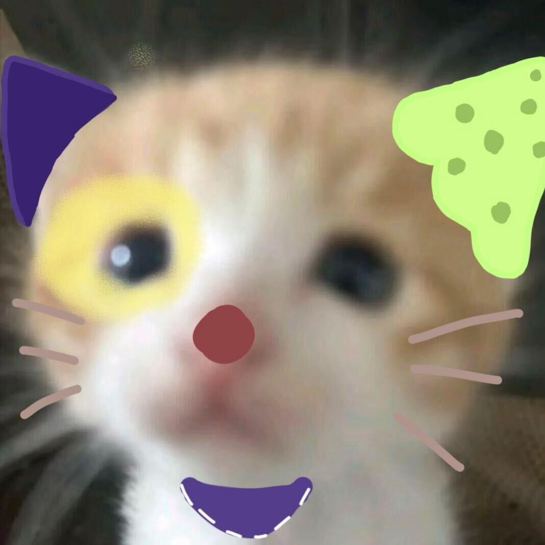 繁繁^_^