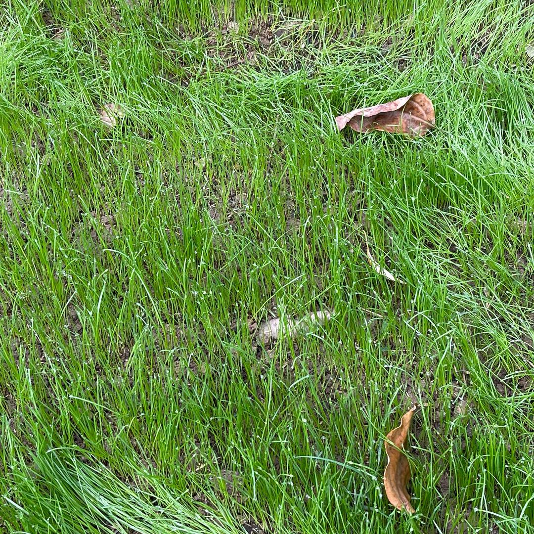 每天都是新的一天