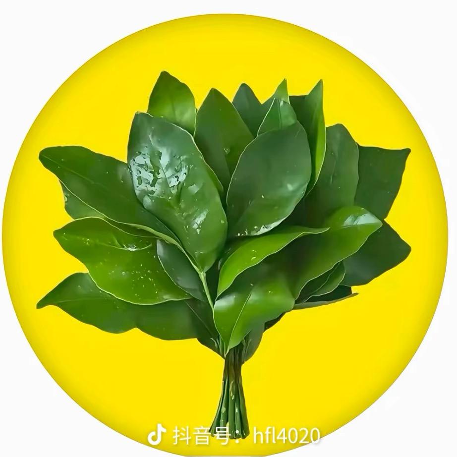 爱笑的眼睛5228