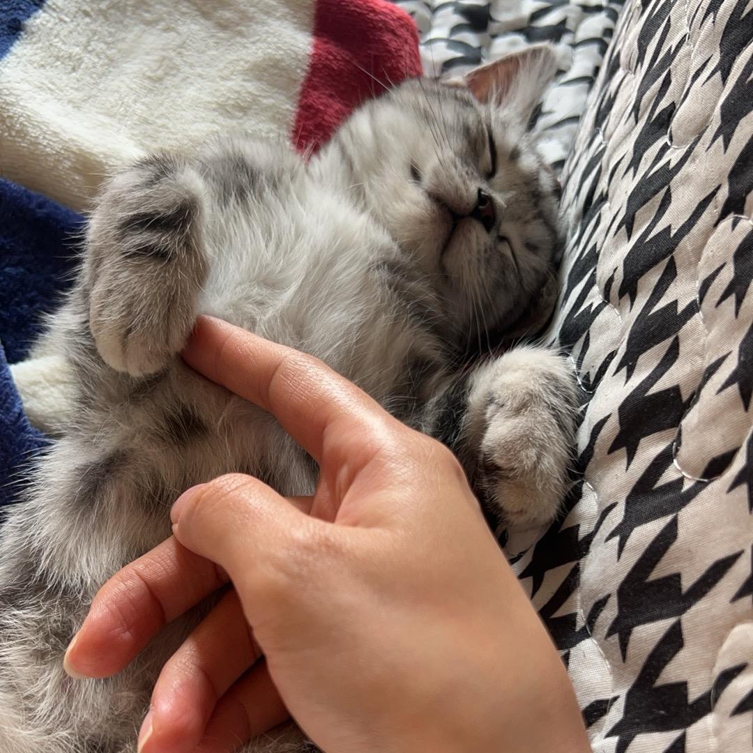 小可心