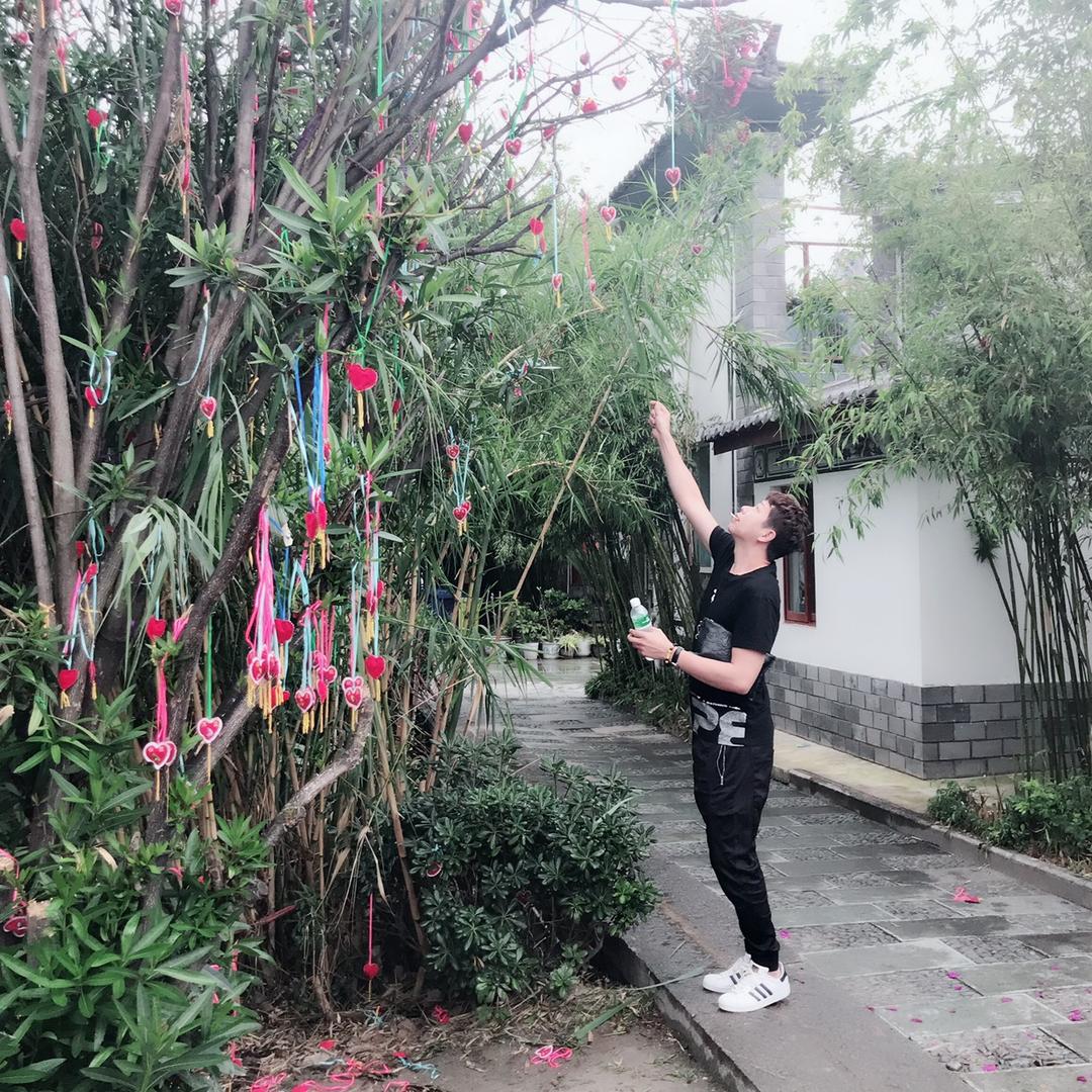 ღ一路向北