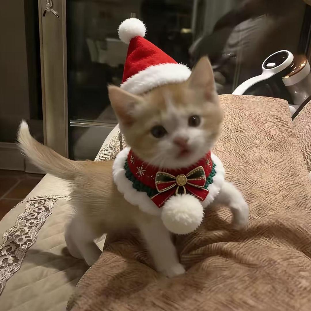 又他奶的是我不对