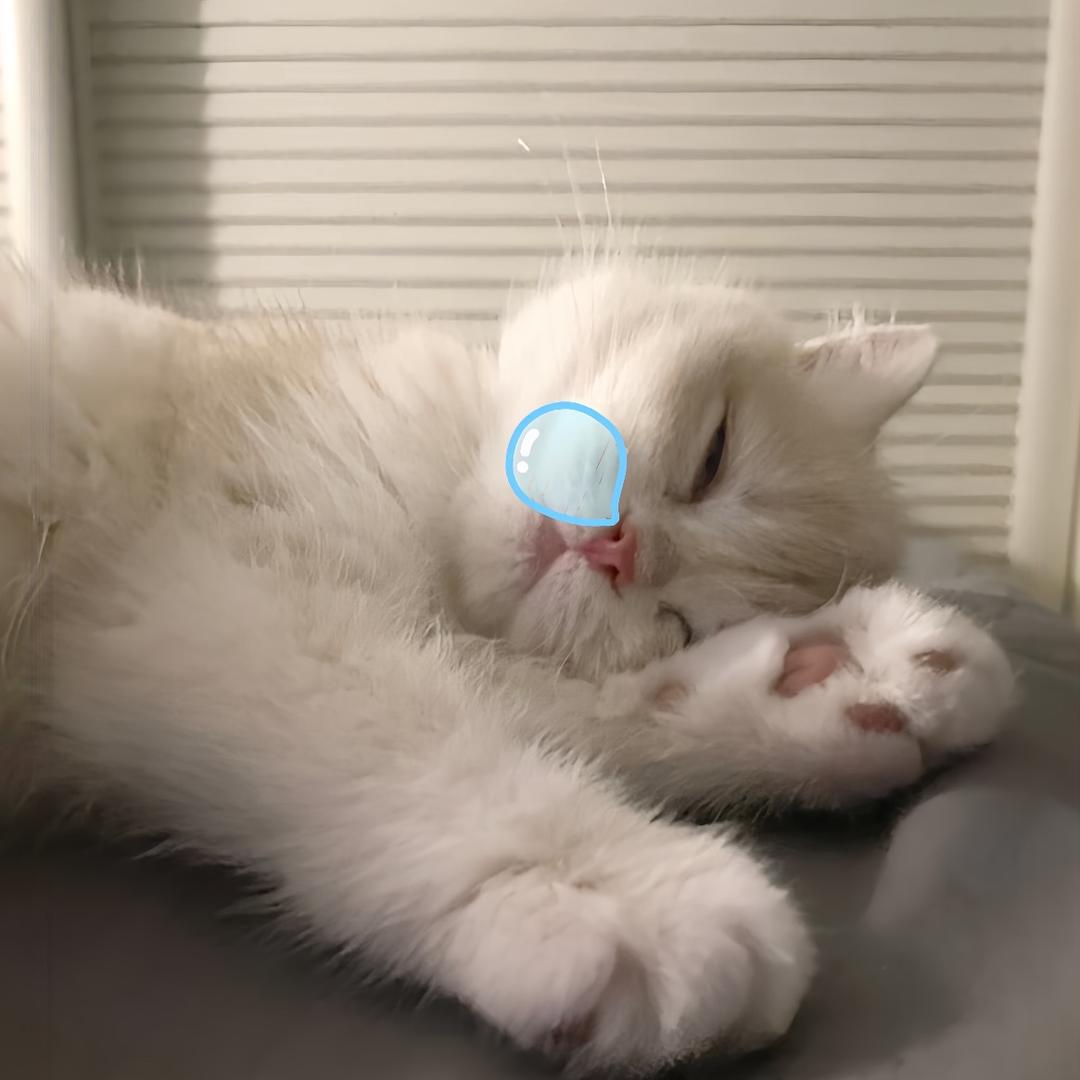 胡萝卜说白了就是白萝卜