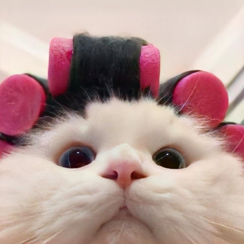 😾