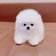 低调做人，高调做事