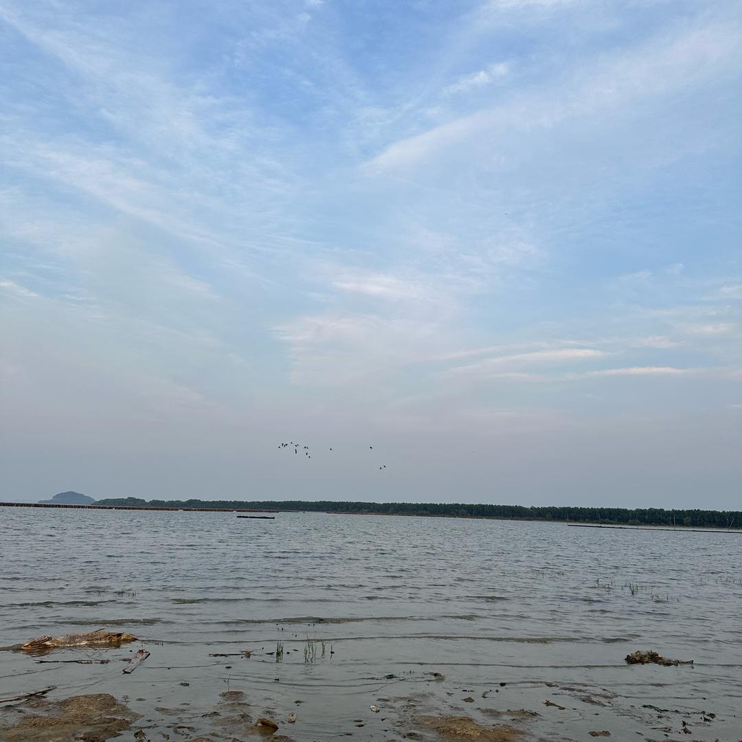 피아 디지털数码
