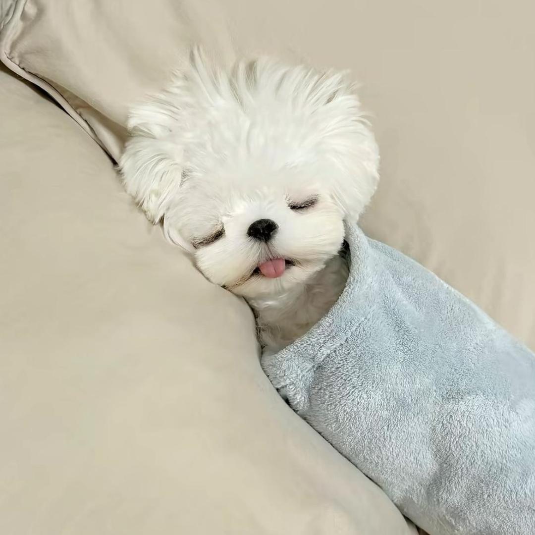 萌届一把刀谁碰谁受伤