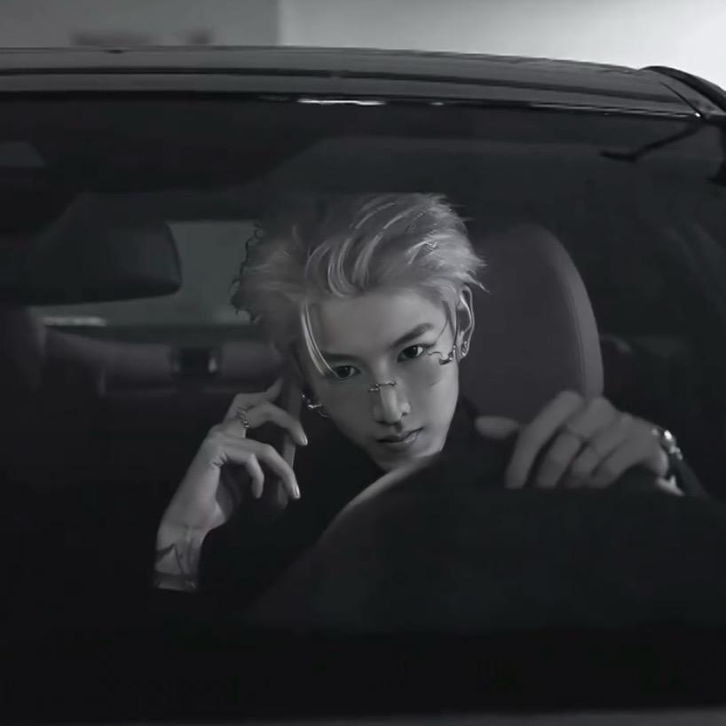 鹤归,