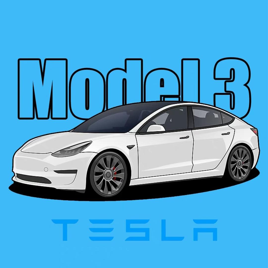 常州星衡新能源二手车