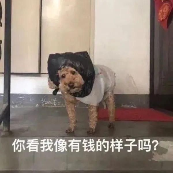 火火的摆摊日记🔥