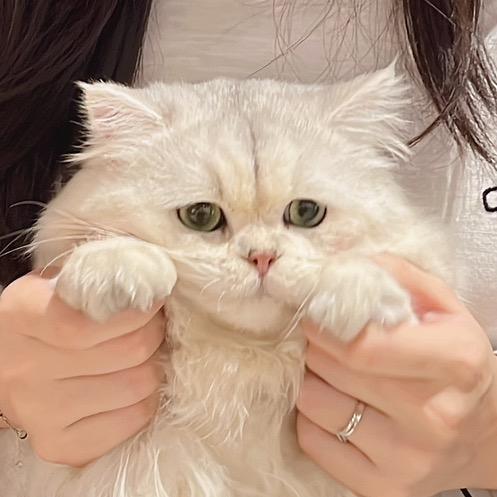 啾比与唛仔