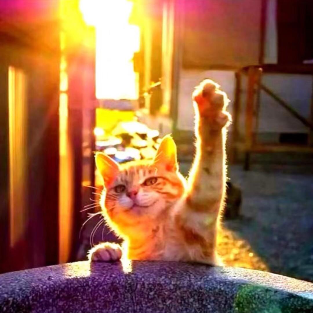 东莞市福鹰电子有限公司