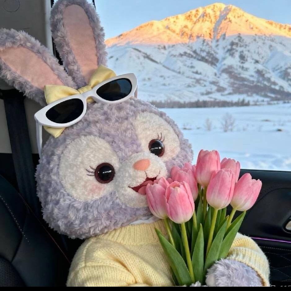 蝴蝶仙子🦋‘’